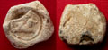 Roman Lead Seal with Leaping Lion, c. 1st-3rd Cent AD Roman Lead Seal with Leaping Lion, c. 1st-3rd Cent AD